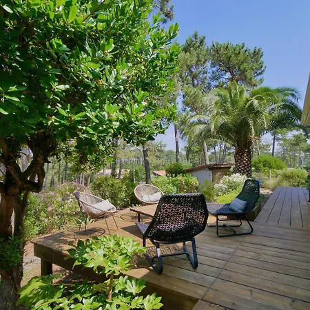 Superbe Avec Piscine Et Jardin Paysage - Le Canon, 230 M² Le Canon